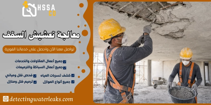 معالجة تعشيش السقف