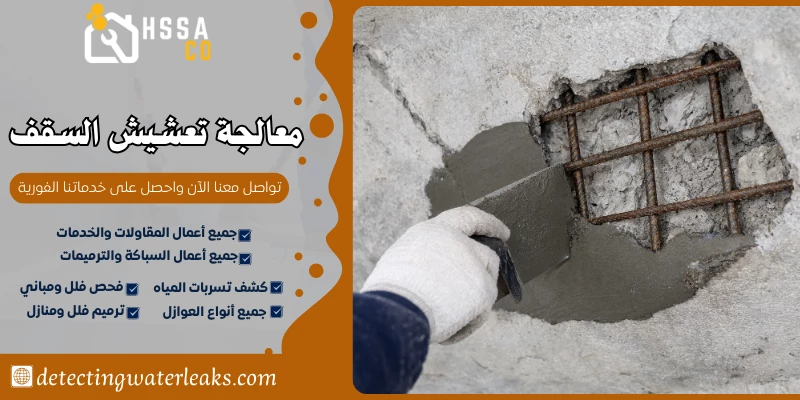 معالجة تعشيش السقف