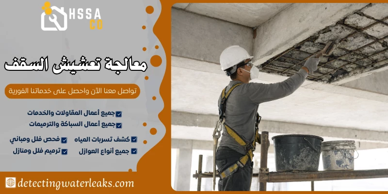 معالجة تعشيش السقف