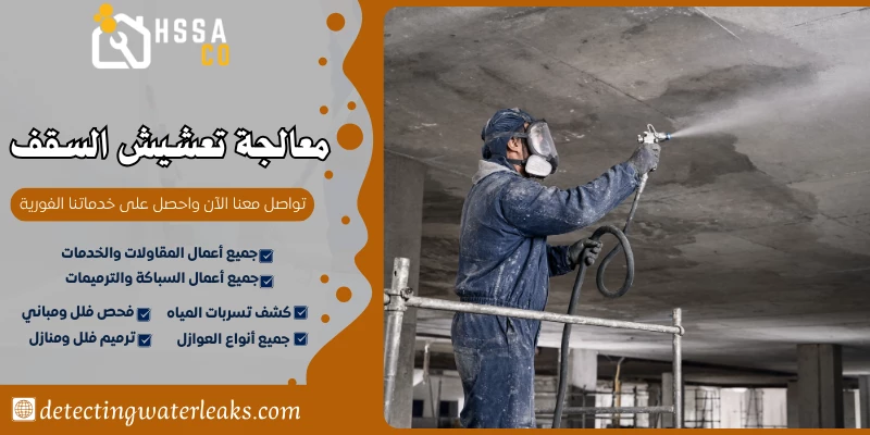 معالجة تعشيش السقف