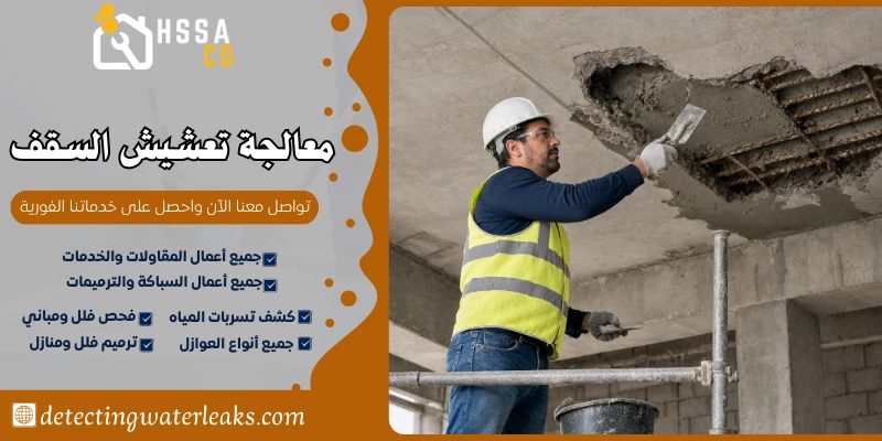 معالجة تعشيش السقف