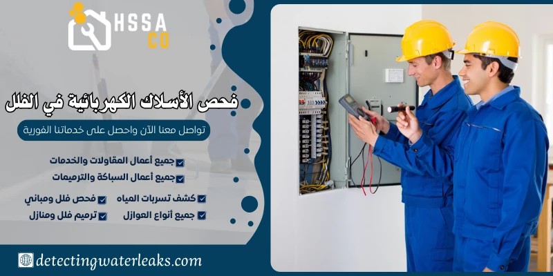 فحص الأسلاك الكهربائية في الفلل